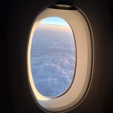 Profile image of 박해서