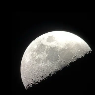 Profile image of りくまゆか