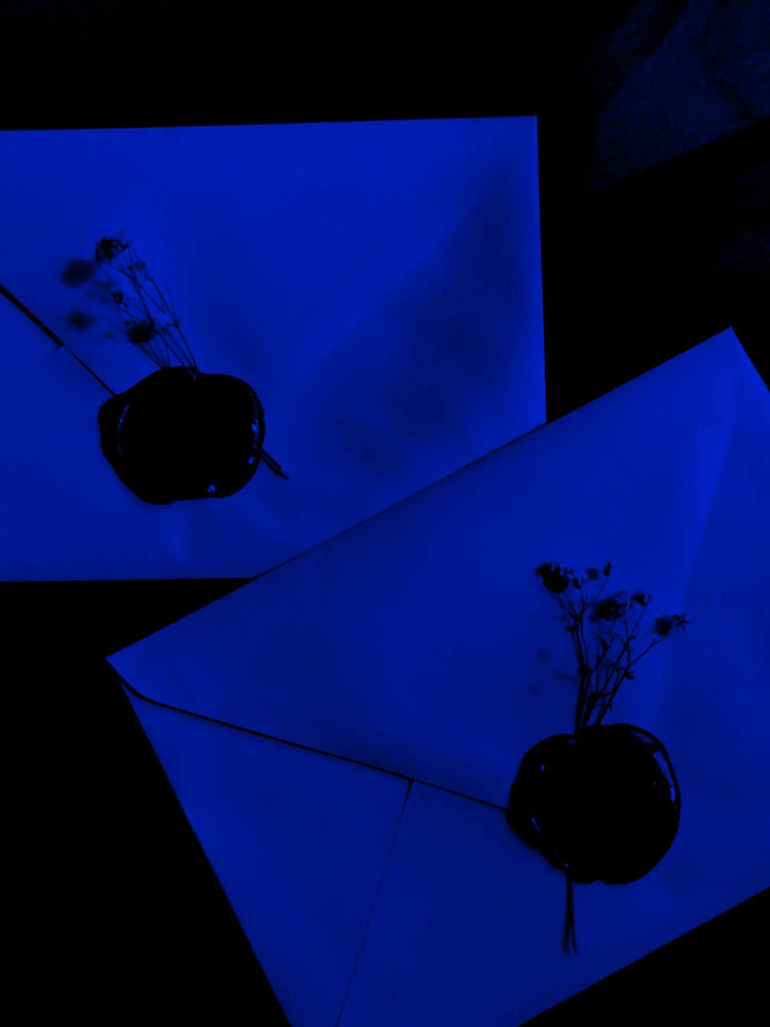 Cobaltblue의 なラヴレター