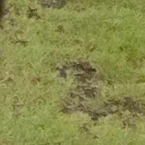 Profile image of 공경사