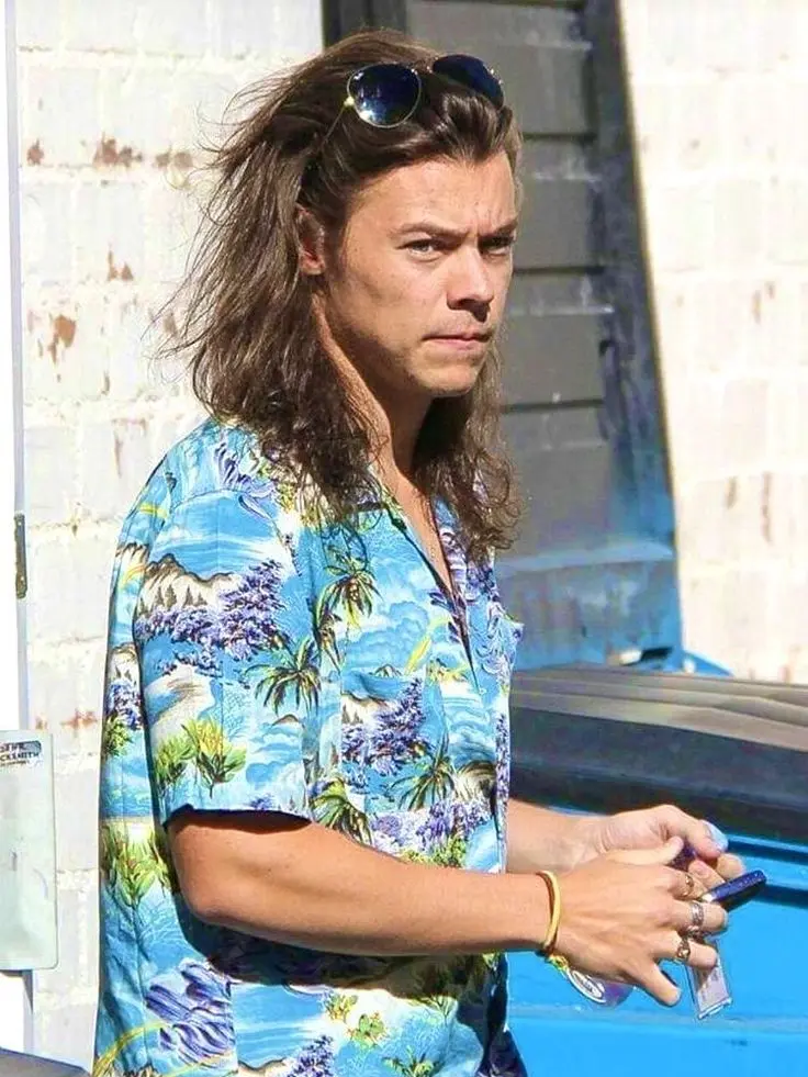 Tpwkmultifandom의 Harry Styles