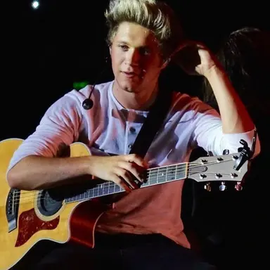 Profile image of Niall Horan