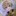るぅと