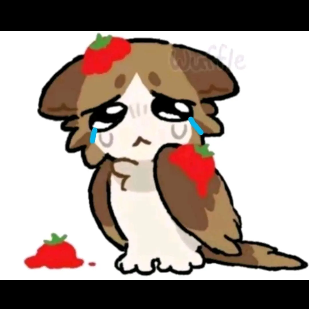 GummyBatik7800의 고양이