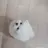 애완동물 대저택