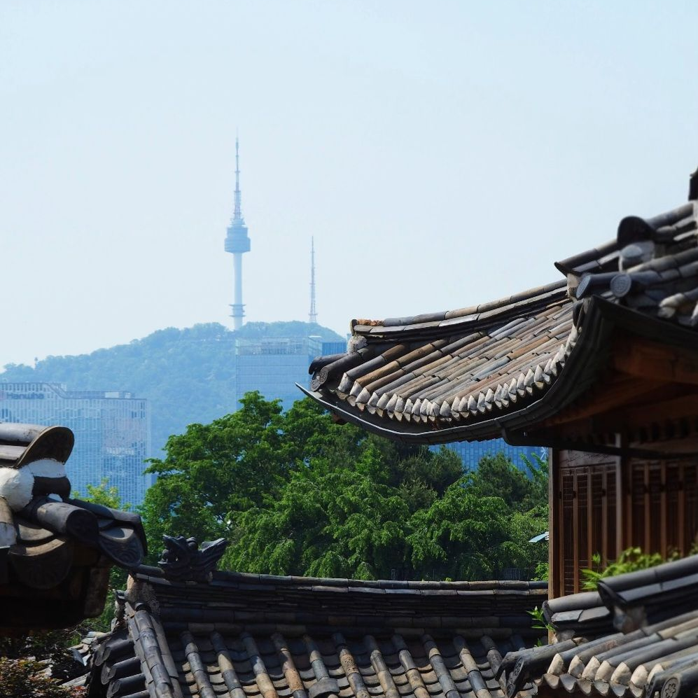 리센느(대학교) 대표 이미지