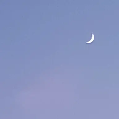 Profile image of ソ連とナチス