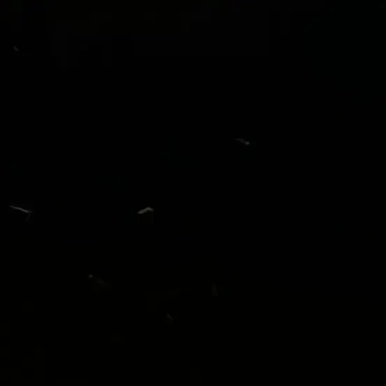 SnarlyTank4701의 김지한