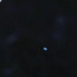 서명호