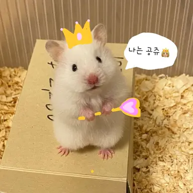 Profile image of 이여우