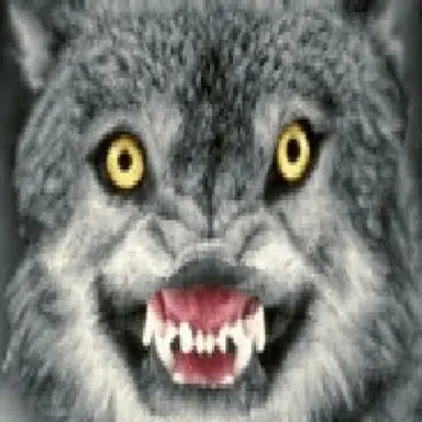 Profile image of 박늑대