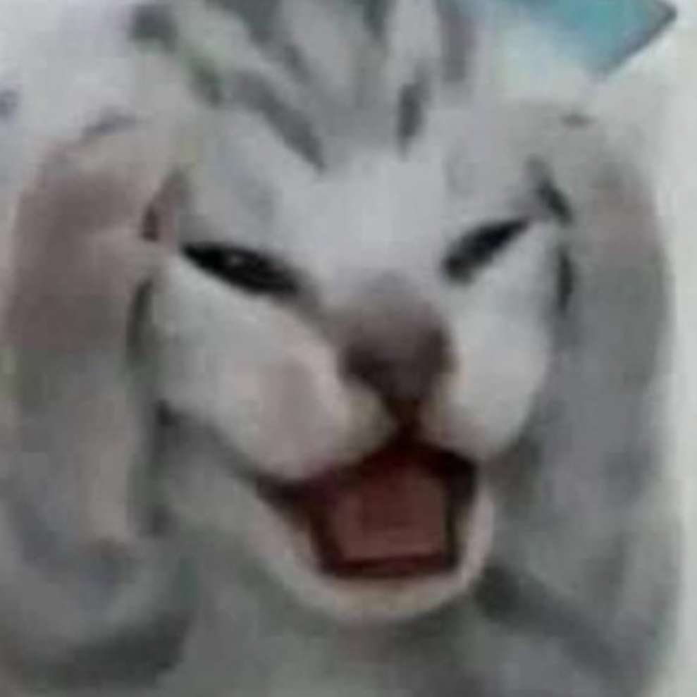 고양이 대표 이미지