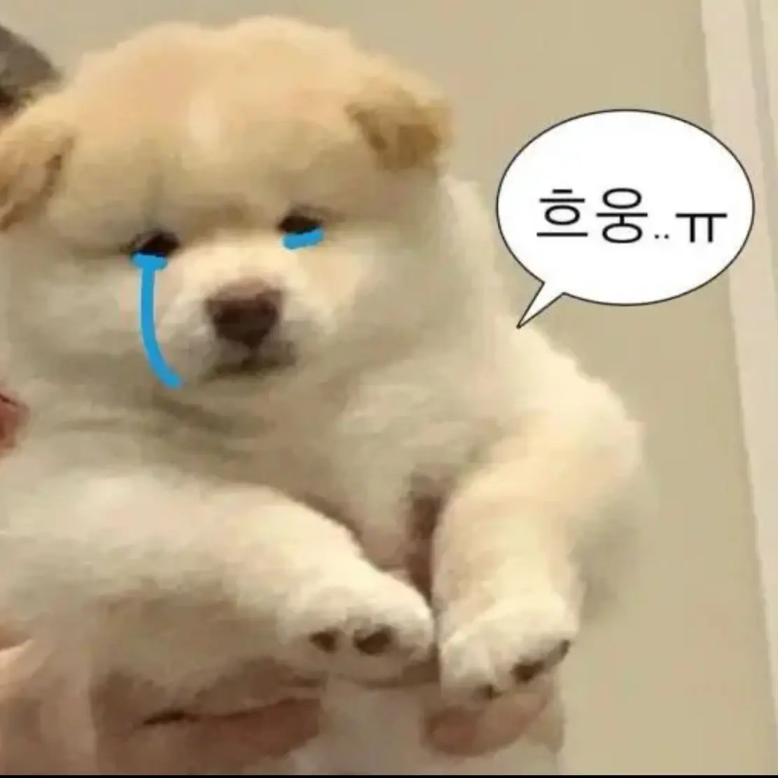 RawFatty3965의 조폭 누나들