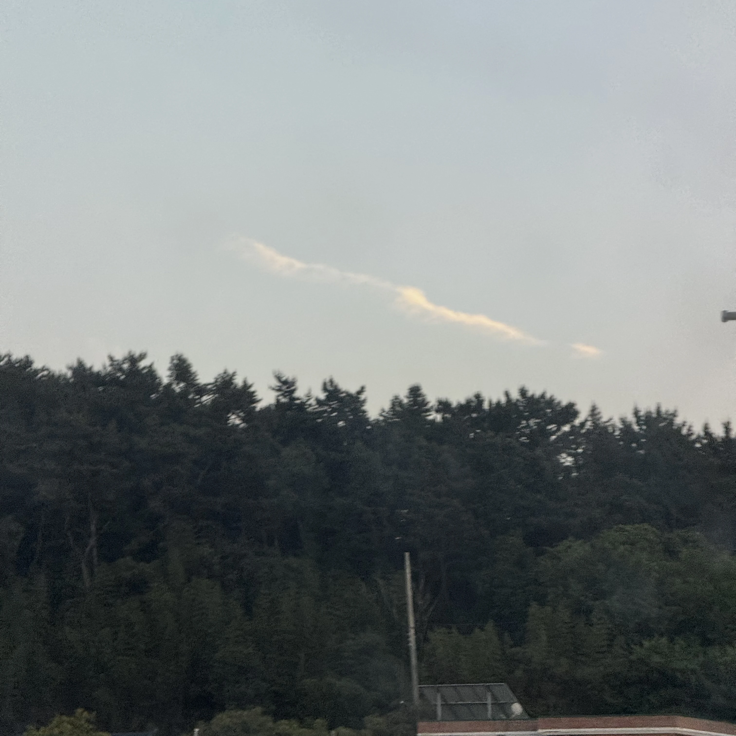 케테헌 여우