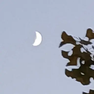 Profile image of 잠뜰