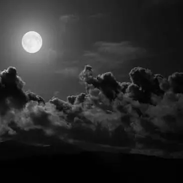 Profile image of 사에구사 츠노