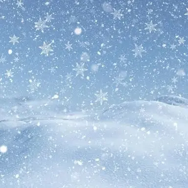 Profile image of 雪