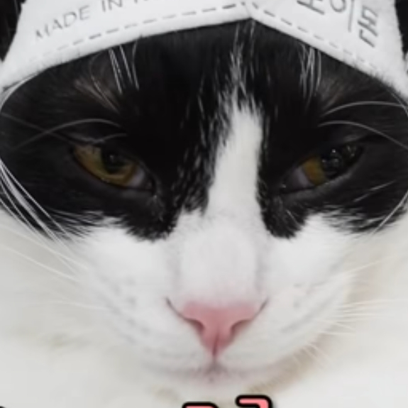 일진레오 대표 이미지
