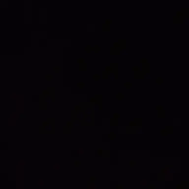 Profile image of 吉田仁人