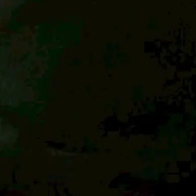 Profile image of 若井滉斗