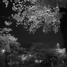Profile image of お登勢