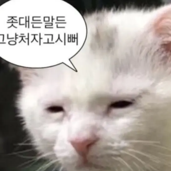 WaryQueen9427의 싯ㄱㅈㄱ치디지