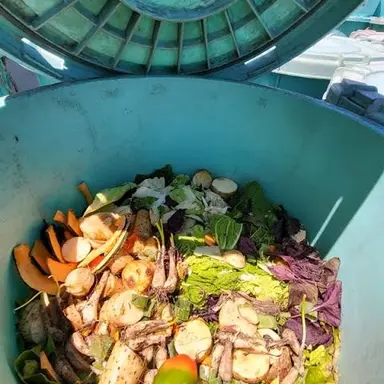 Profile image of 알렉스