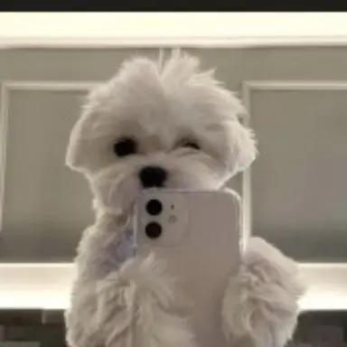 Profile image of 김산하