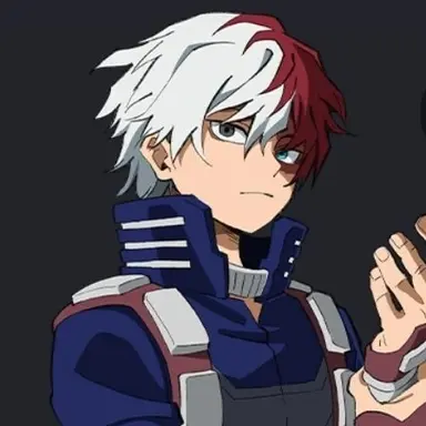Profile image of Shoto todoroki
