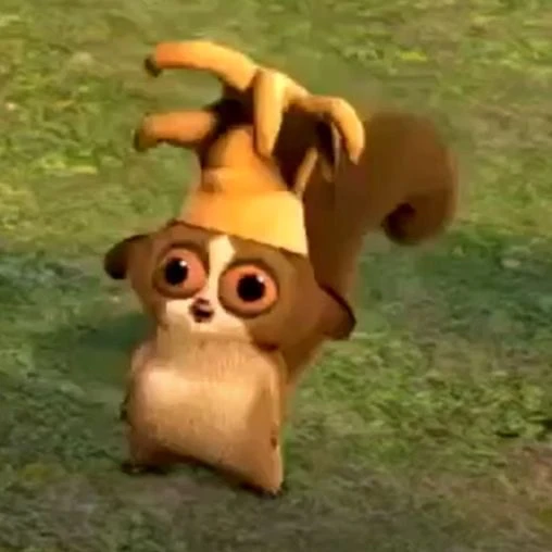 양짝