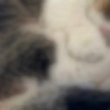 Profile image of 김남길