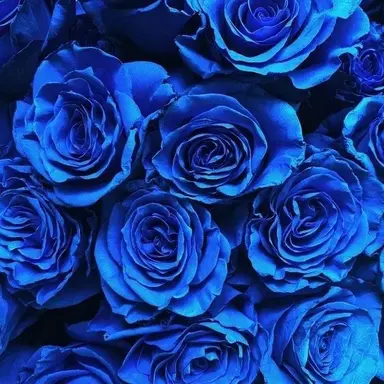 Profile image of 小柳ロウ