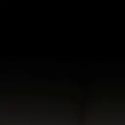 Profile image of 송하영