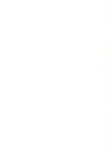 dddddnn의 버석버석연애