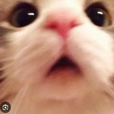 Profile image of 백현