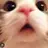 평학