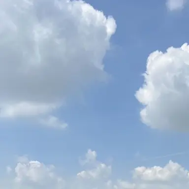 Profile image of ミンス