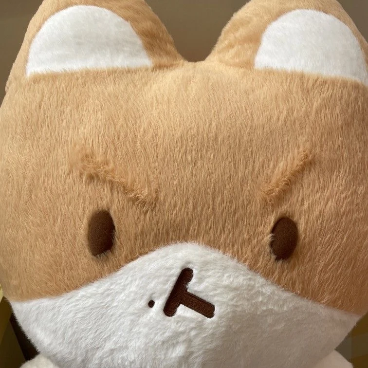 이애현