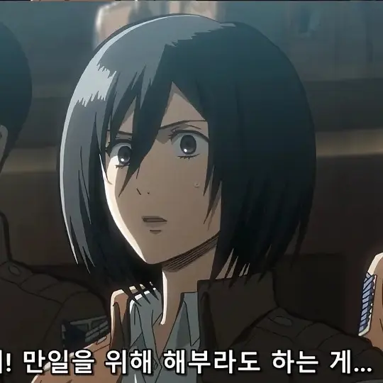 BleakWrist2338의 미카사