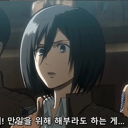 미카사