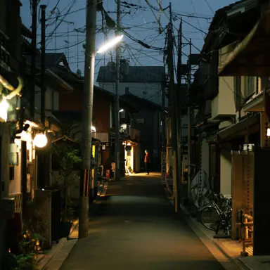 Profile image of 쿠죠 죠타로