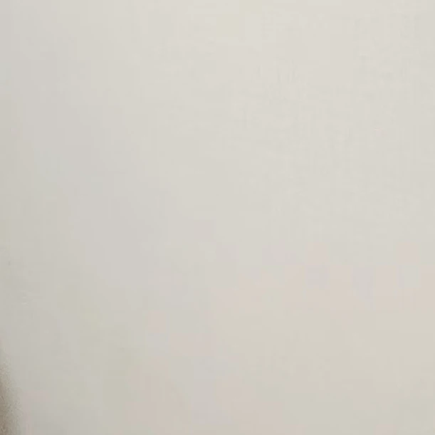 쉐도우밀크