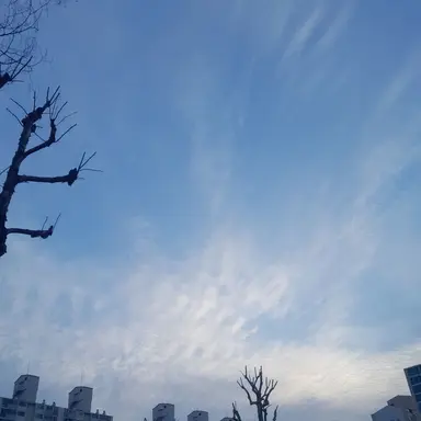 Profile image of 각별