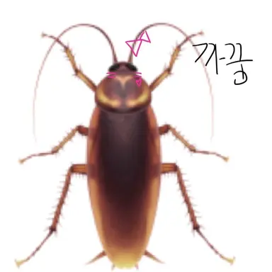 Profile image of 바퀴벌레