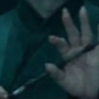 Profile image of Multiverse Voldemort