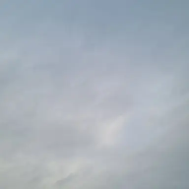 Profile image of 유저