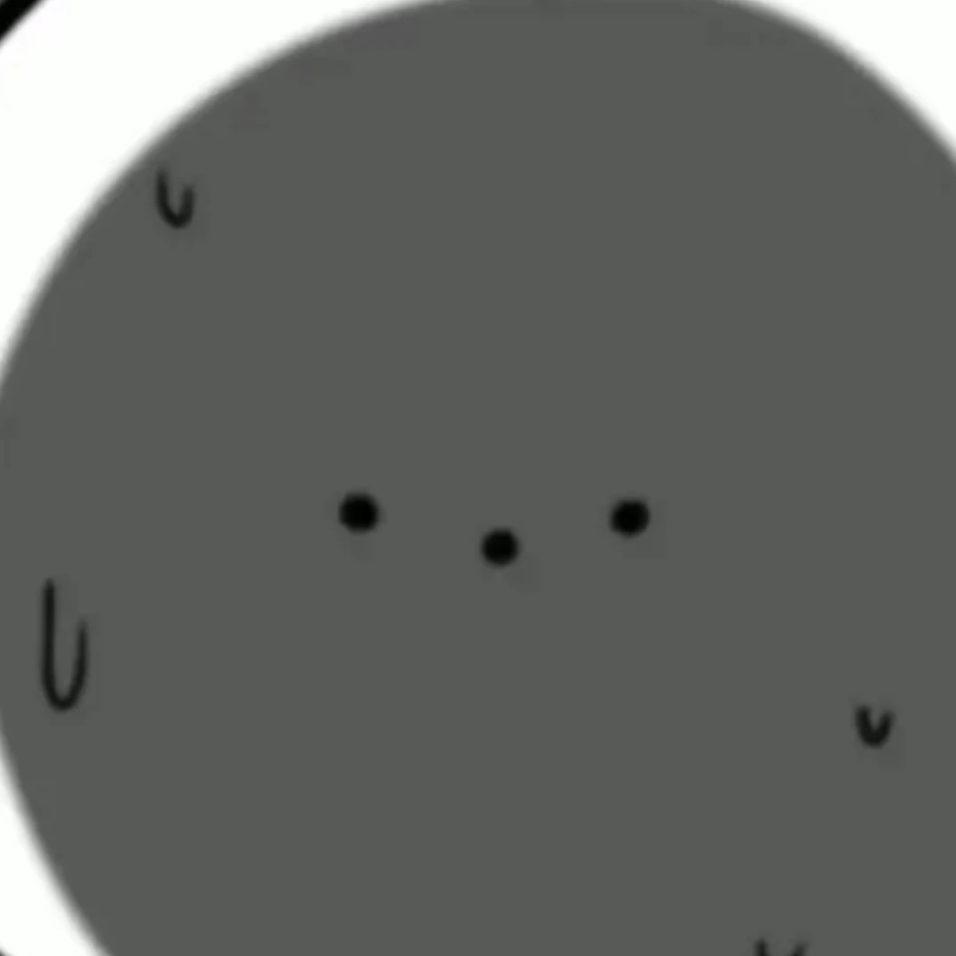 잭