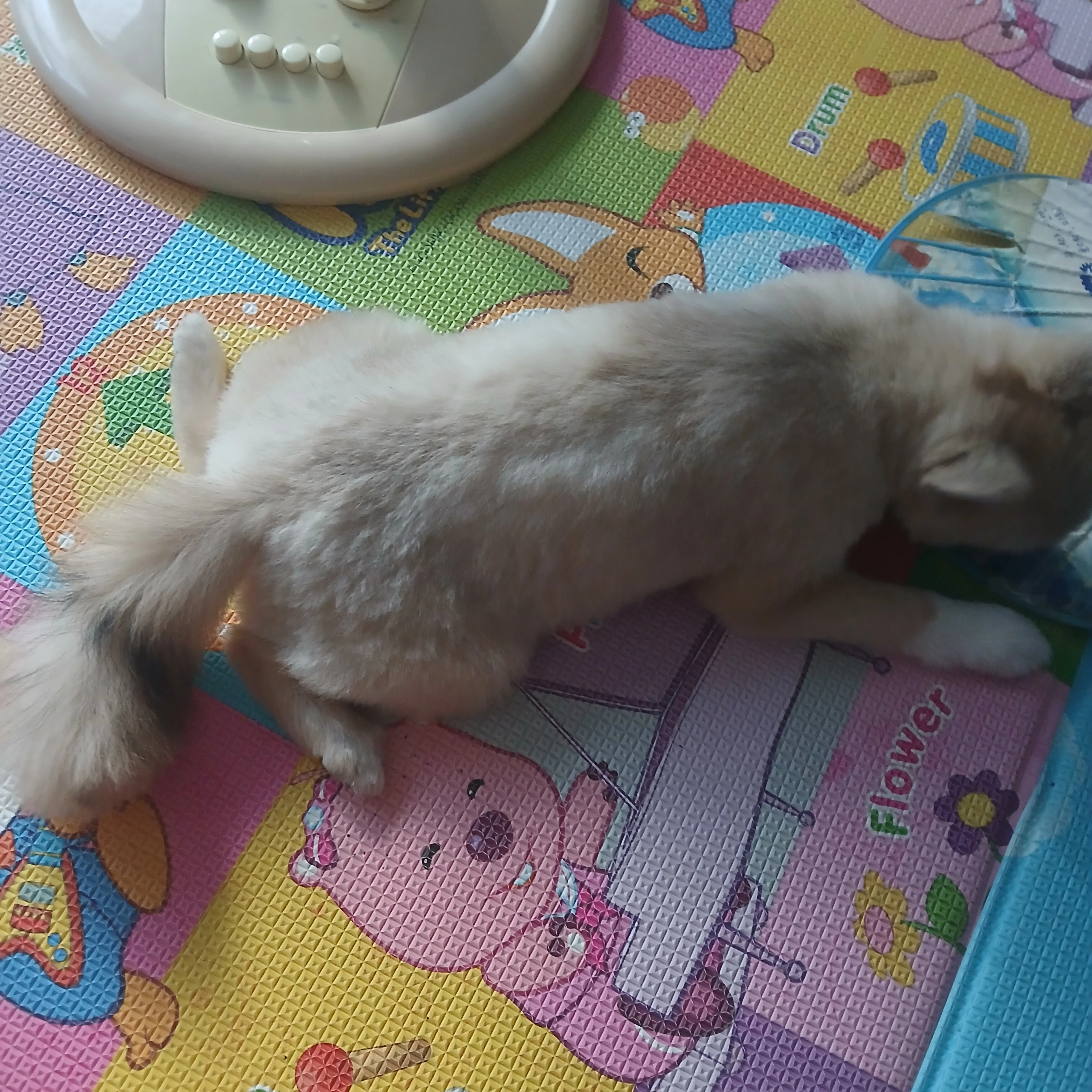 서해선