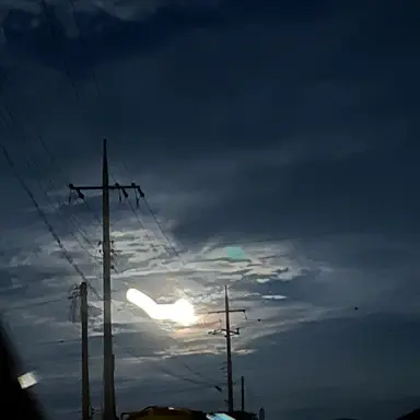 Profile image of 해설