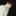 lain
